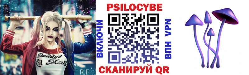 Галлюциногенные грибы мицелий  Купить где  Сургут 