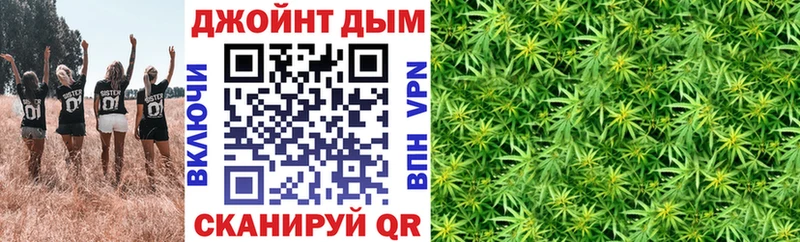 Конопля индика  Купить где  Сургут 